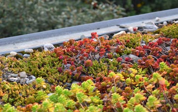 the cost of Moorhaigh green roof installation