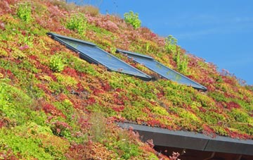 Moorhaigh living roof systems