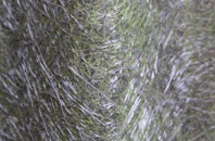 Moorhaigh fibreglass roof work